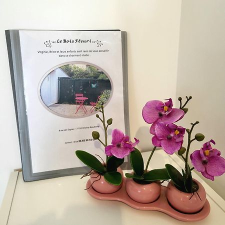 Maison Studio Le Bois Fleuri Croissy-Beaubourg エクステリア 写真